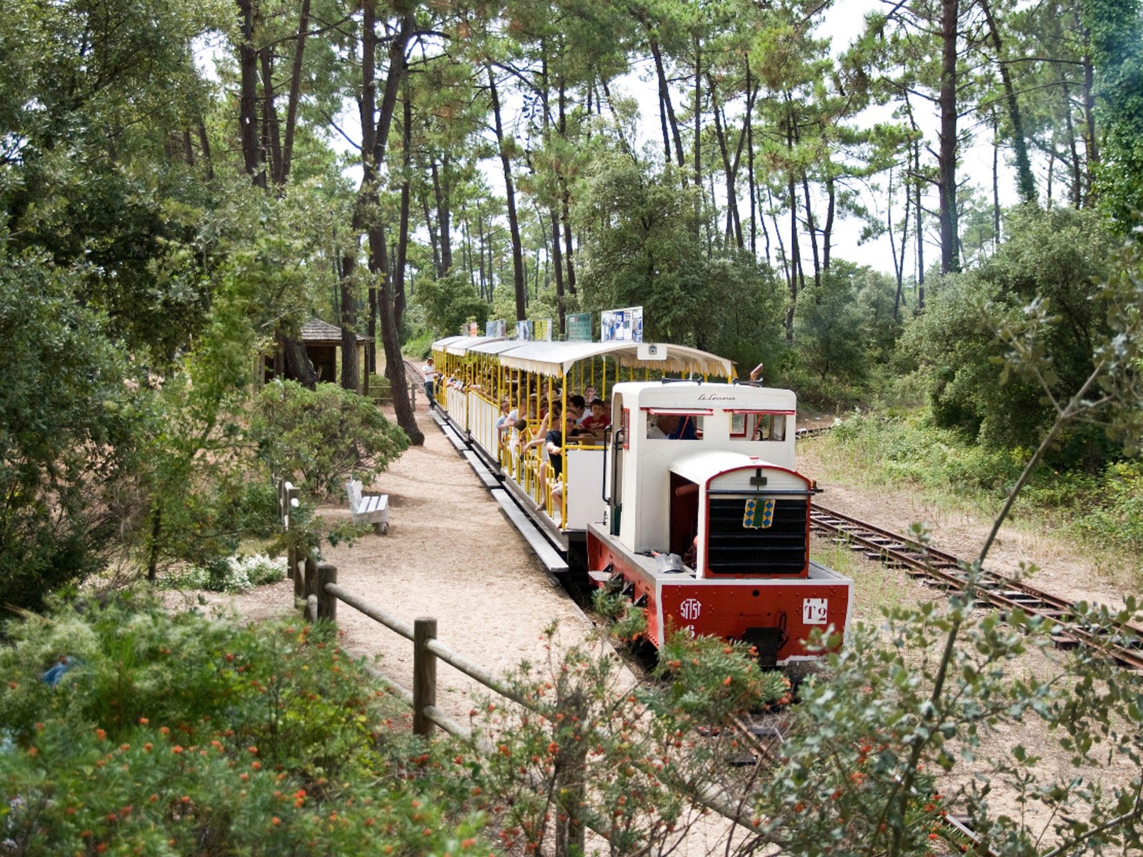 pti train saint trojan oleron